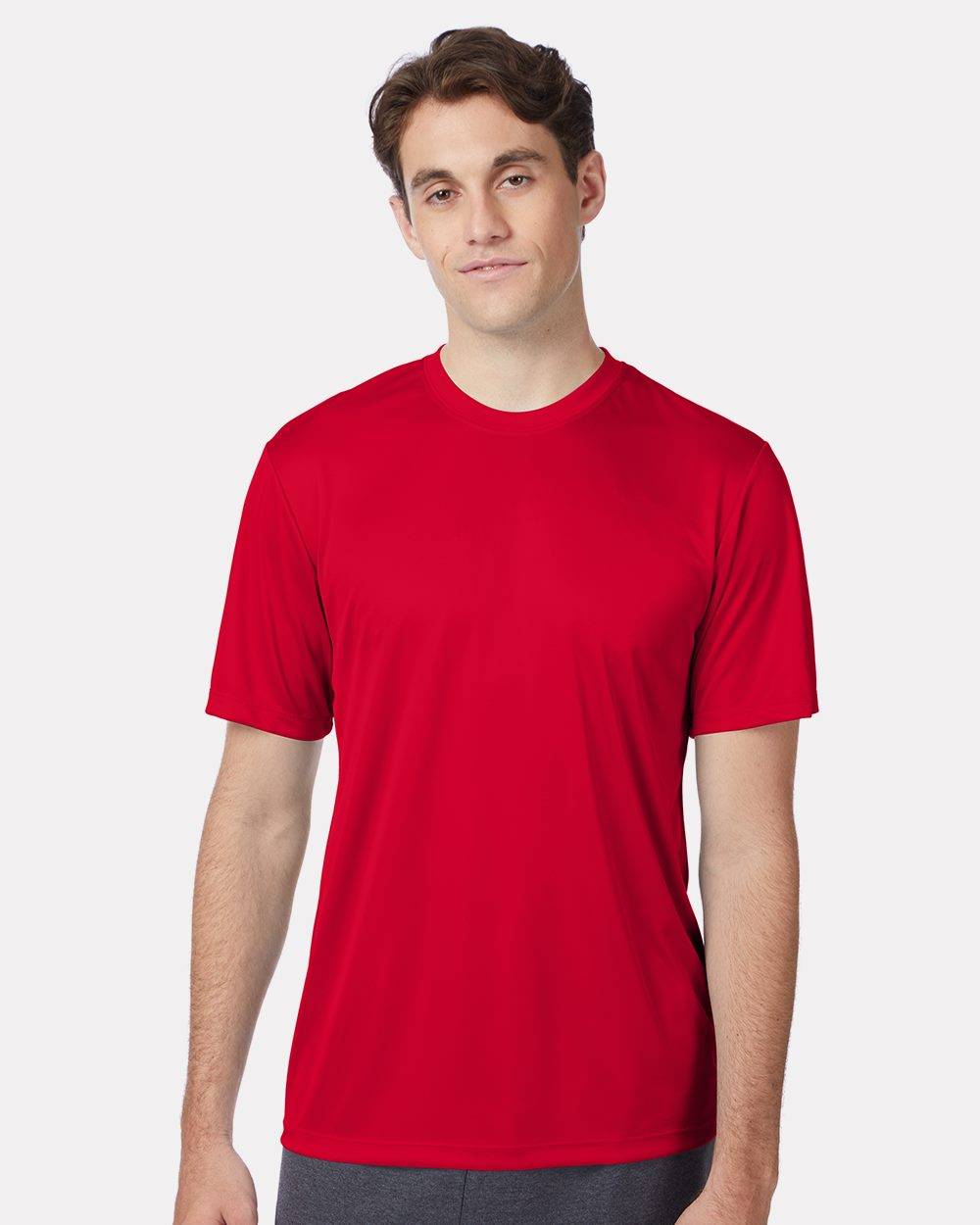 Hanes 4820 1