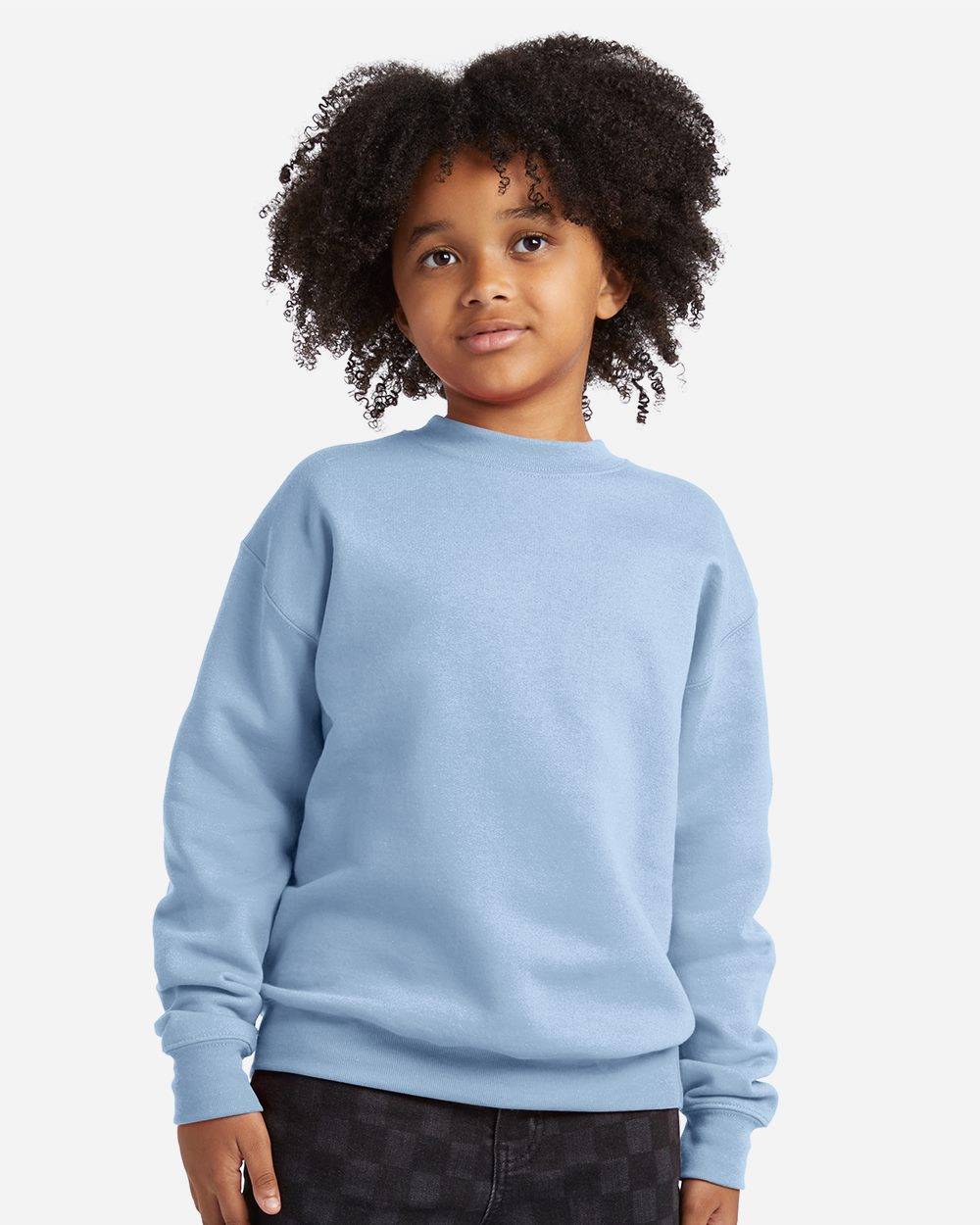 Hanes P360 1