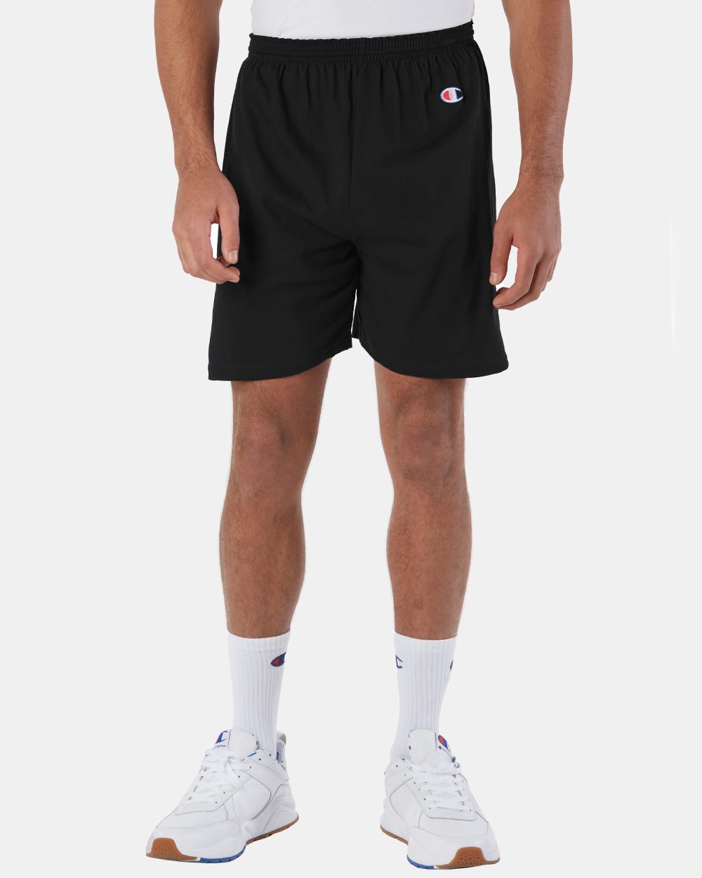 Champion 8187 - Model